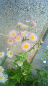 200905021746000