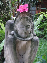 ��ʪ�ˤ��������֤�������