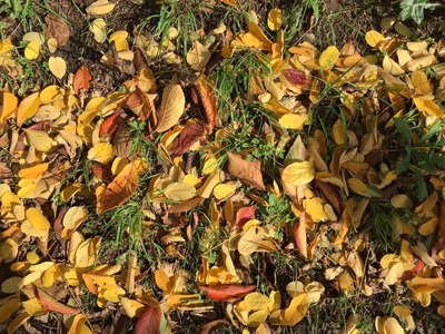 20151110_140525