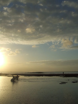 DSCF5479