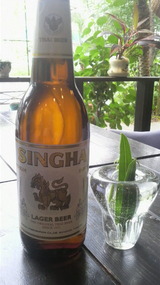¥¿¥¤¥Ó¡¼¥ëSINGHA