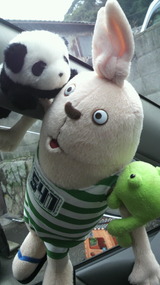 �����ӥå�