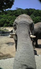 ��������ɡ���ʤ����Τ�