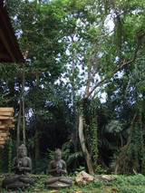 ubud