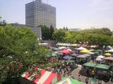 one love jamaica festival