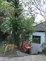 ubud