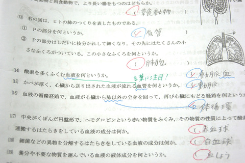 DSC00561-1