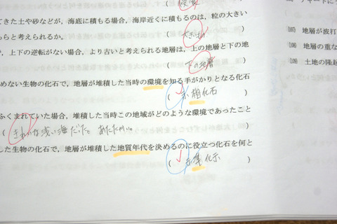 DSC00559-1