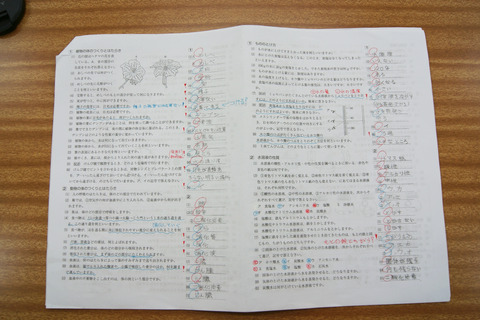DSC00549-1