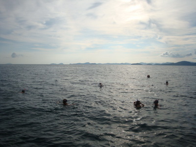 DSC05691