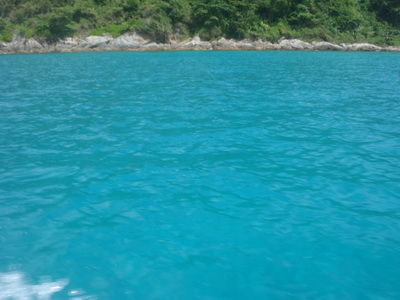 DSC06383