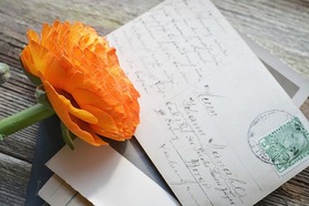 flower-1312794_640