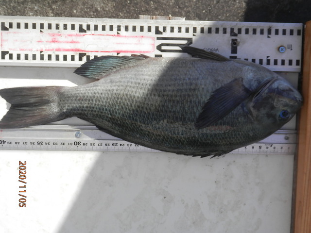 PB050364