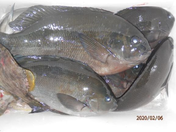 P2060011