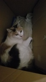 20191230_235835