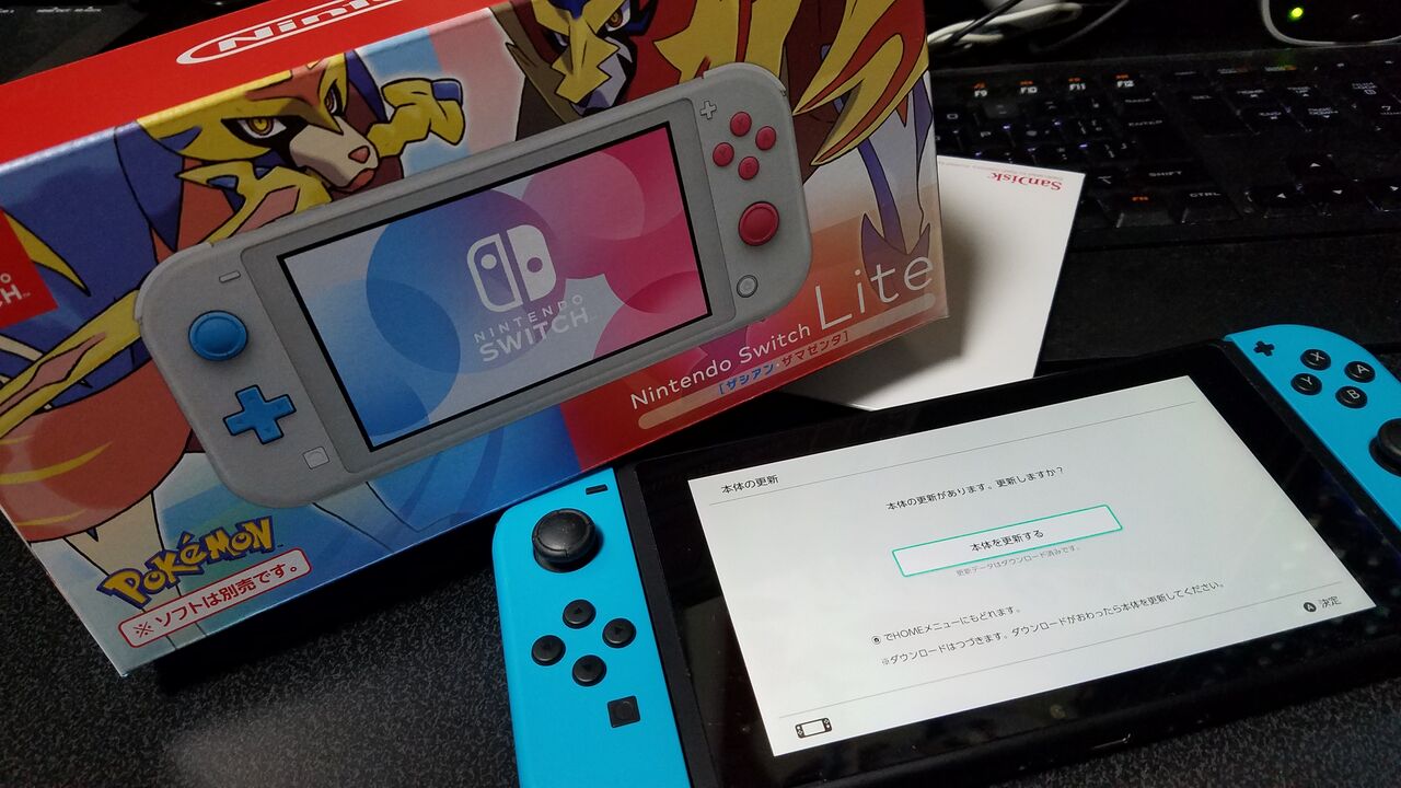 スイッチライト 剣盾バージョン : ナカムーオンライン