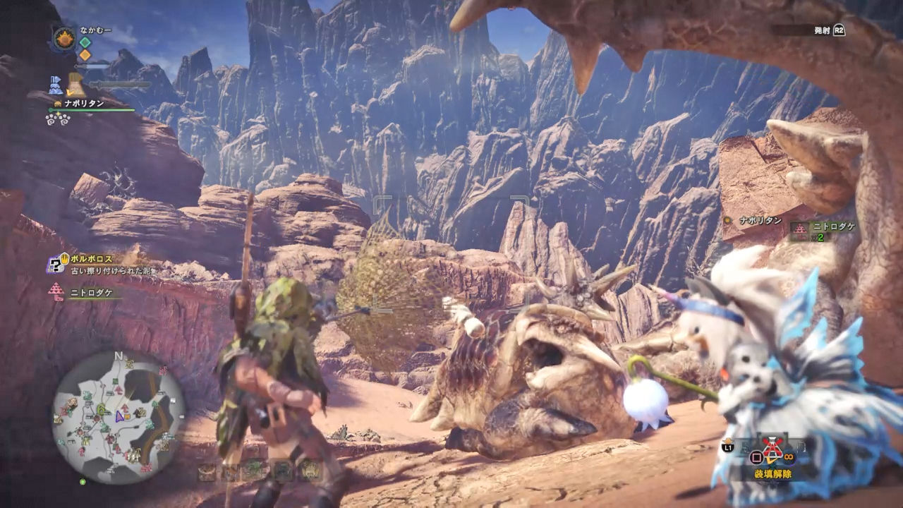 Mhw日記 17 幻の魚と幻の鳥 その戦いの日々 ナカムーオンライン Mhw日記 17 幻の魚と幻の鳥 その戦いの日々 ナカムーオンライン