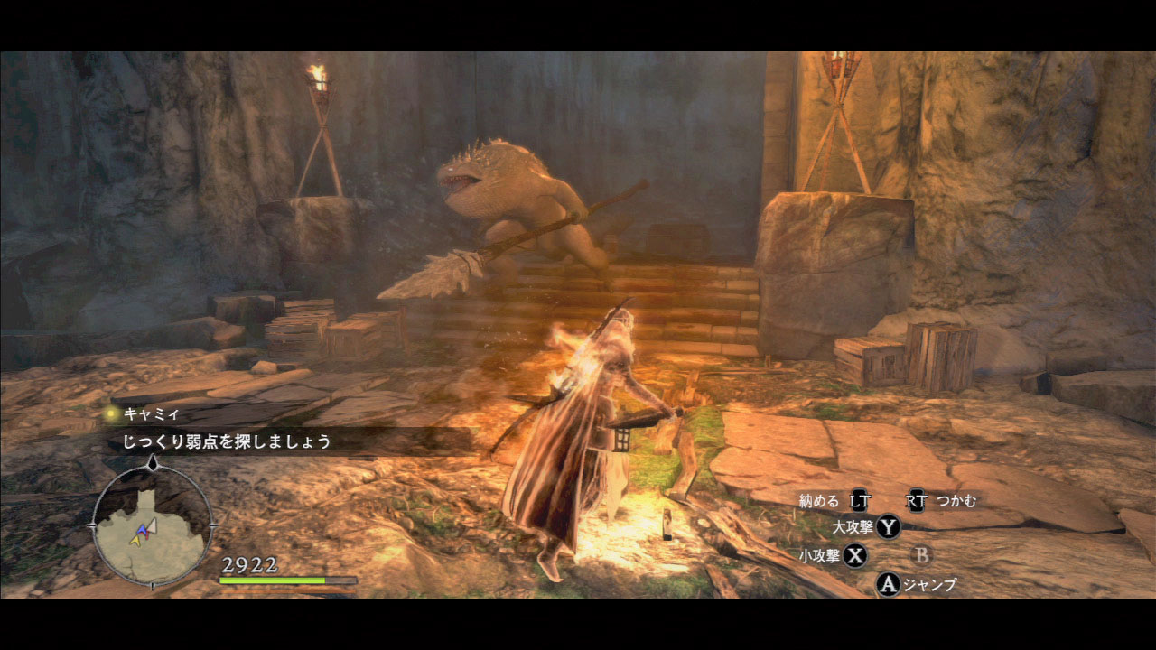 ダークアリズン日記 月白の鱗革を求めて ナカムーオンライン