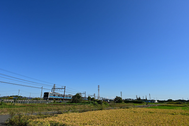 DSC_0438_20251017_101109_NX005