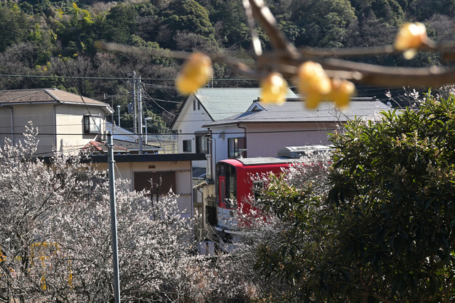 DSC_0689_20260203_131317_NX029