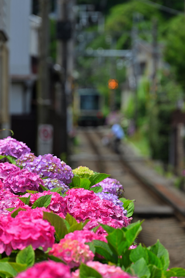 DSC_7179_20260616_111924_NX016