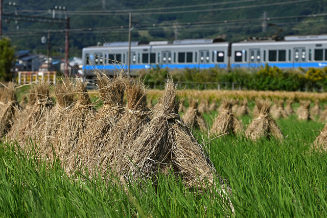 DSC_0585_20251017_104458_NX010