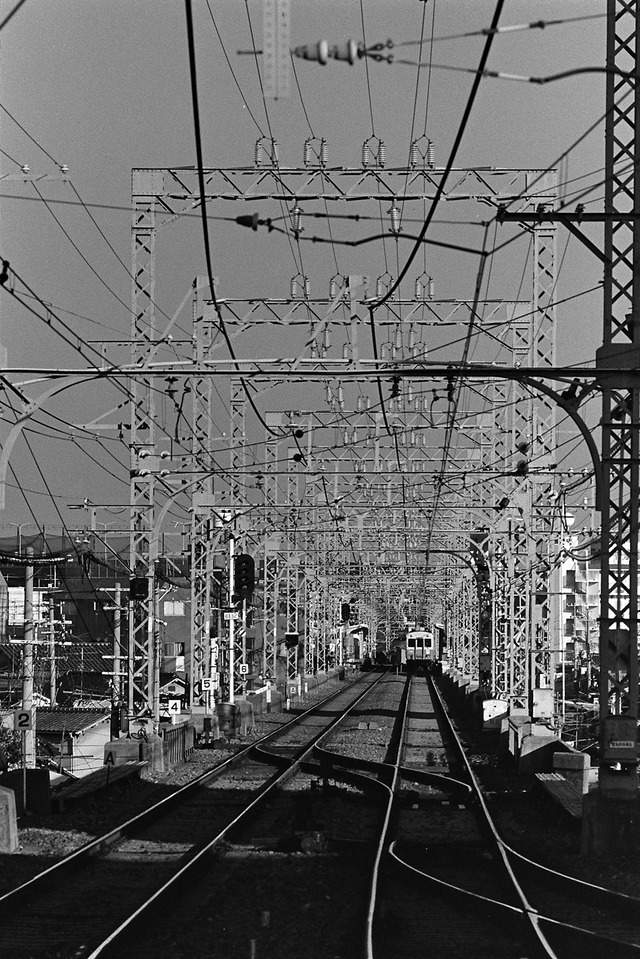 1981-1_20210901_2469