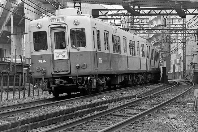 1982-1_20210906_4877