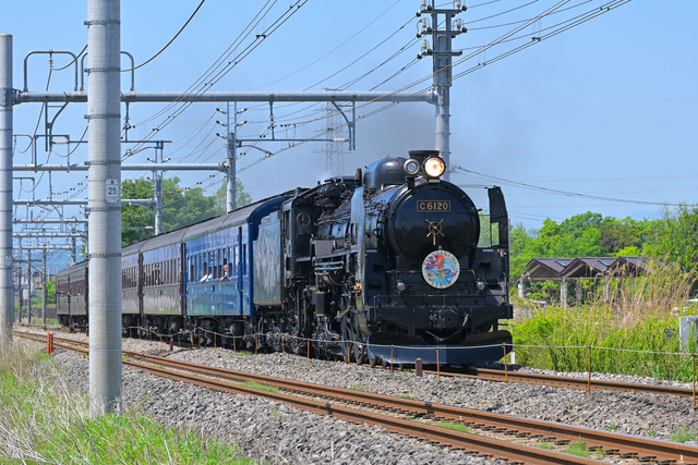 DSC_4807_20240505_100617NX