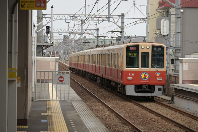 DSC_6241_20260605_122655_NX001