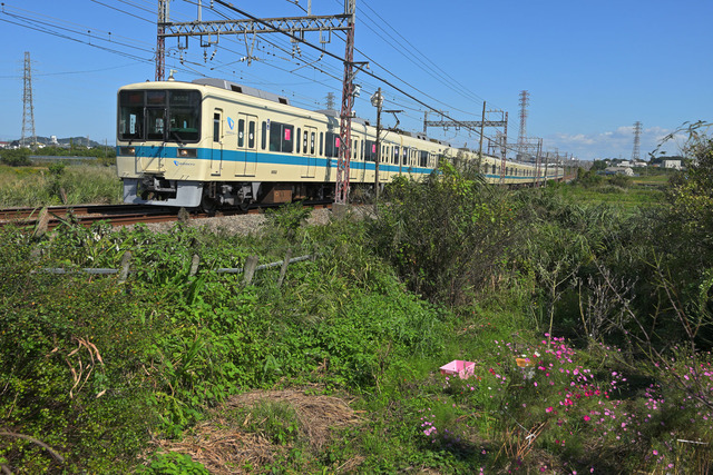 DSC_0937_20251017_113808_NX025