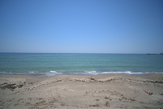 DSC_0179_20240614_113859NX