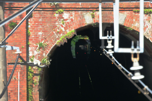 DSC_1732_20250503_150456_NX