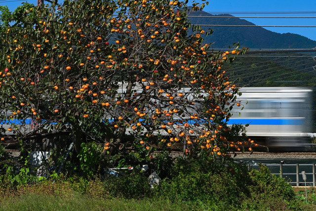 DSC_0712_20251017_105655_NX016