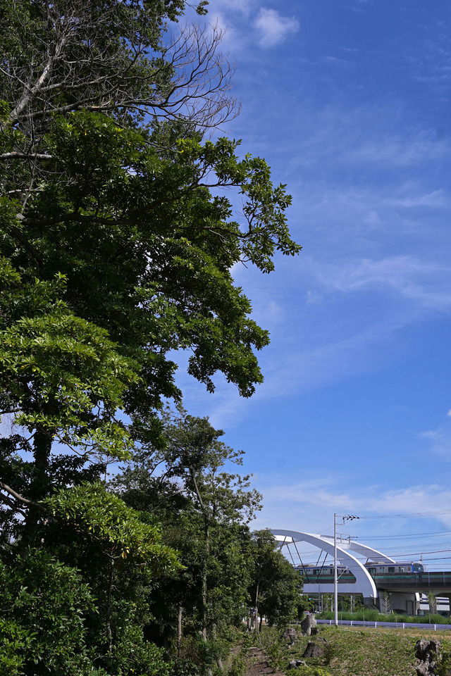 DSC_3300_20230926_122839NX