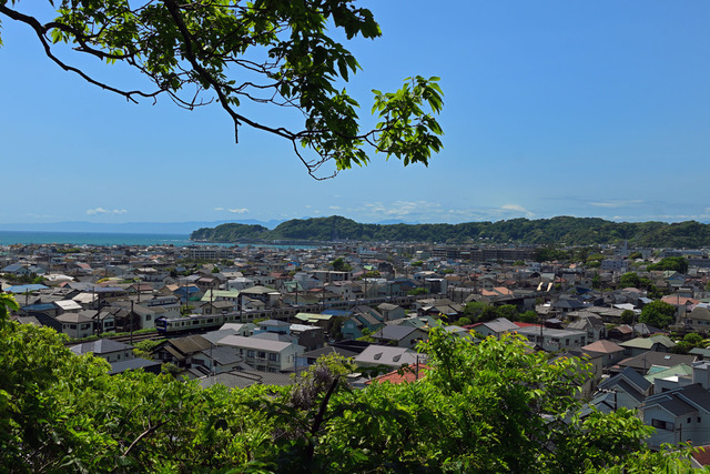 DSC_1647_20250503_123650_NX