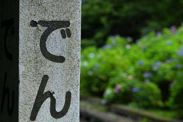 DSC_3617_20250626_100548_NX