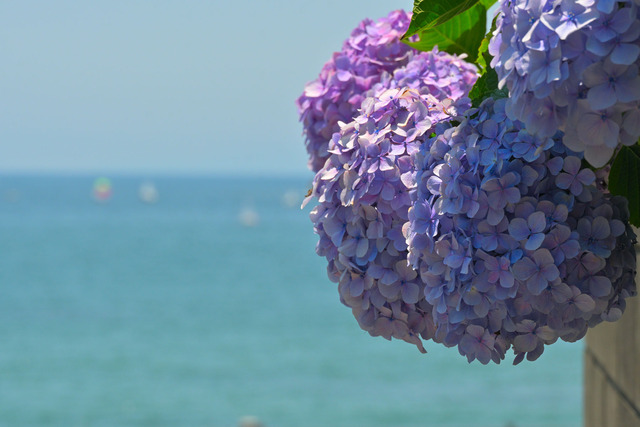 DSC_0178_20240614_113425NX