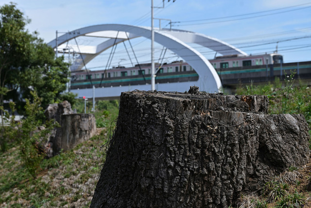 DSC_3289_20230926_121741NX