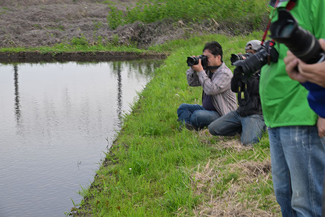 DSC_4342_20260426_173913_NX001
