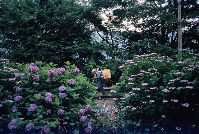 19860706_0047NX