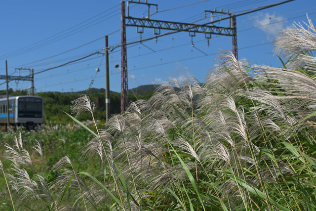DSC_0837_20251017_111919_NX020
