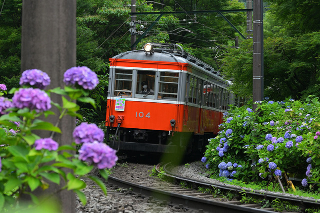 DSC_3575_20250626_095949_NX