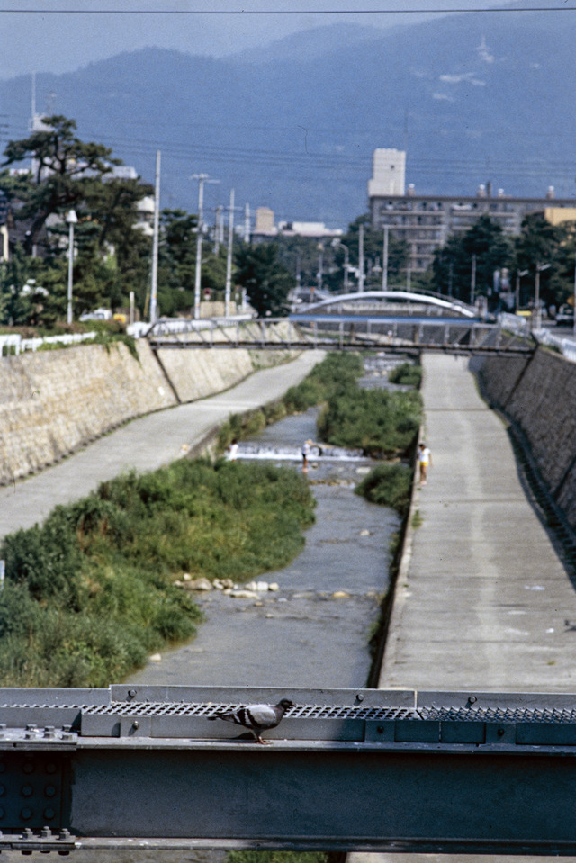 19830730_0006