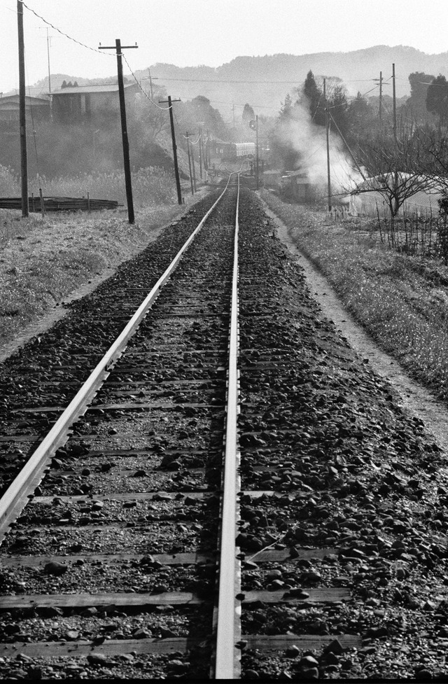 1986_87_20210917_7710NX