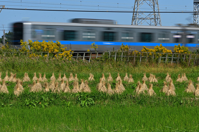 DSC_0786_20251017_111200_NX018