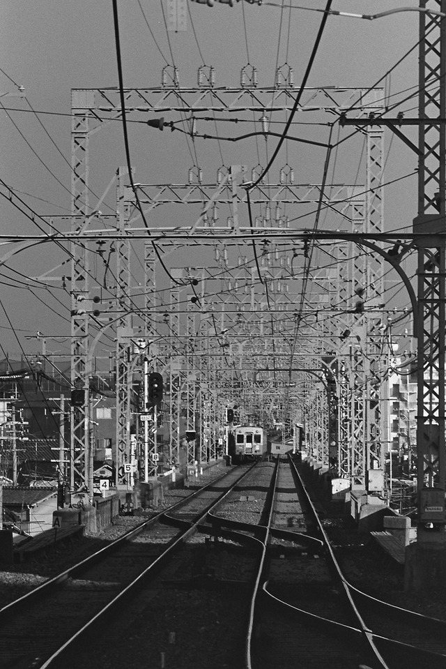 1981-1_20210901_2472