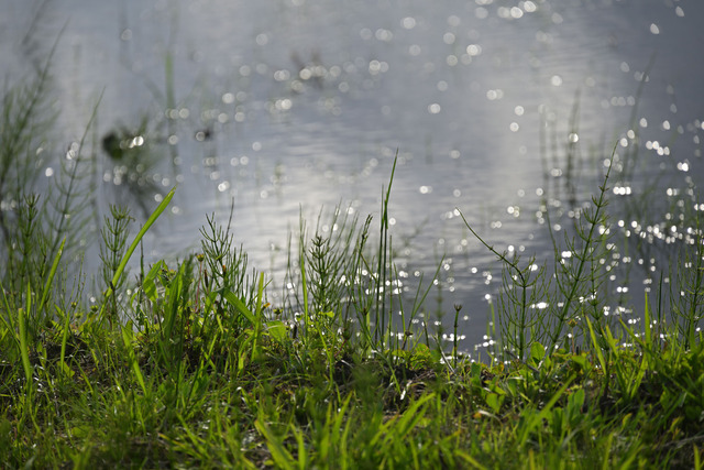 DSC_4195_20260426_162452_NX028