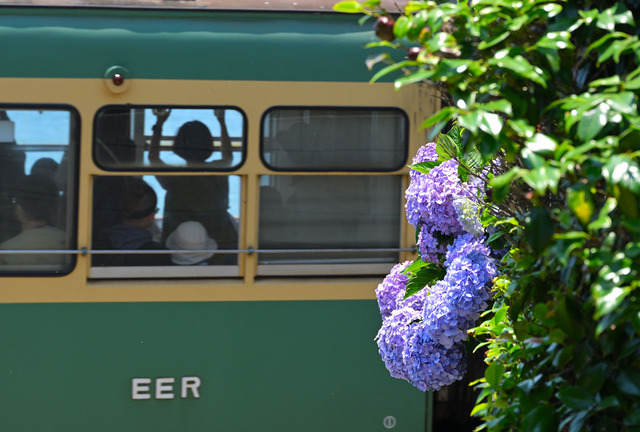 DSC_0120_20240614_111449NX