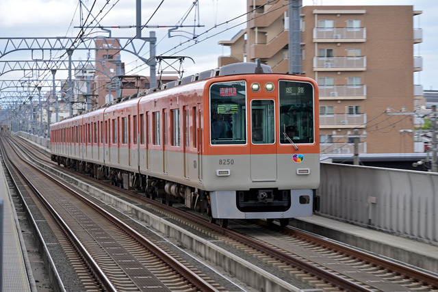 DSC_5776_20260603_162154_NX005